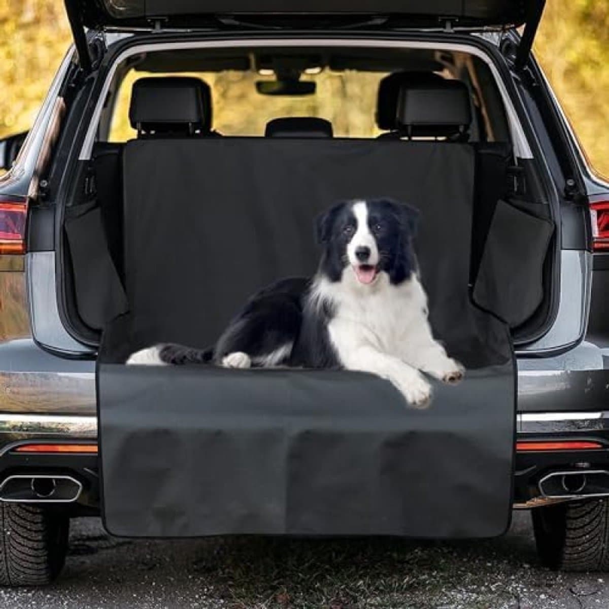 Het Perfecte Cadeau voor Elke Autobezitter