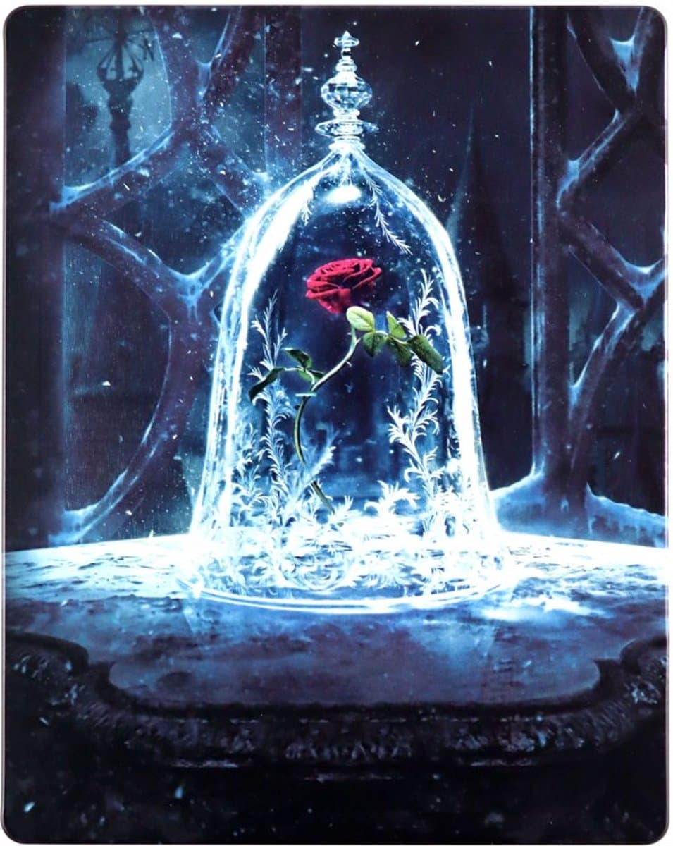 Your Enchanting Beauty and the Beast Blu-ray gift - 1/1