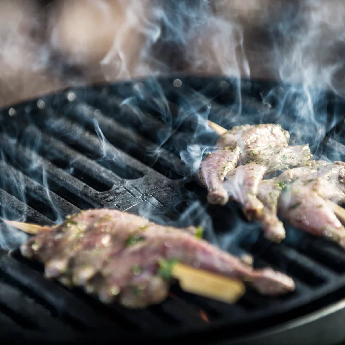 Your New Go-To Cast Iron Grill Grate gift - 1/1