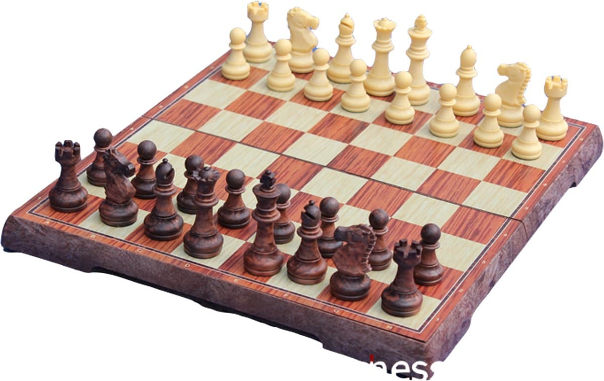 Magnetic Chess Fun, Anytime, Anywhere gift - 1/1