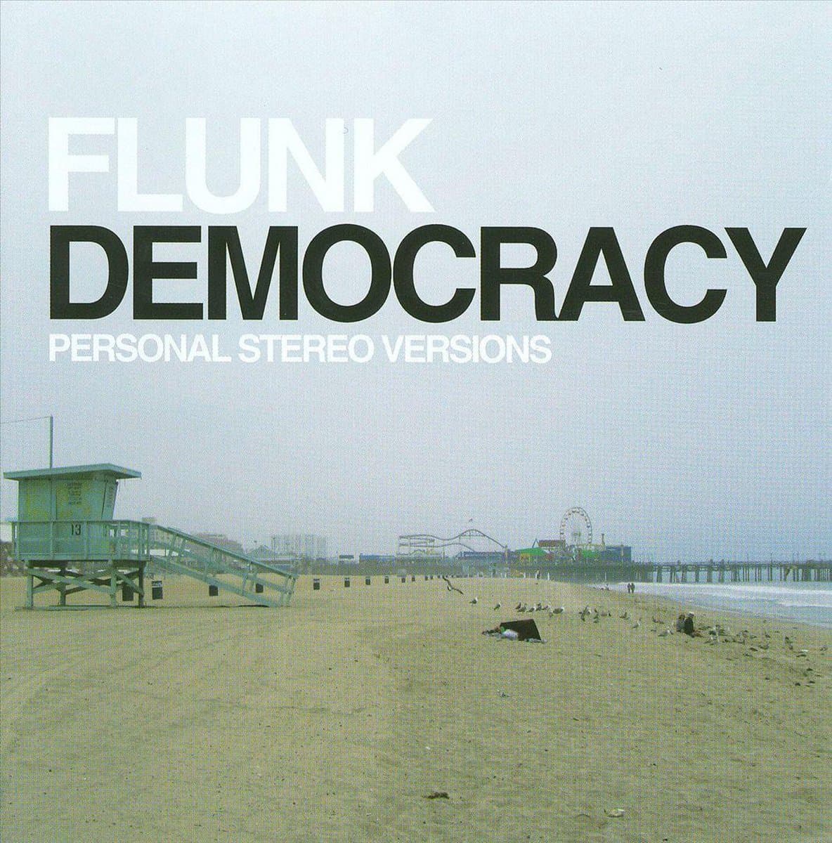Flunk's 'Democracy' Stereo Version, For You gift - 1/1